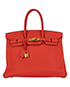 Birkin 35 in Togo Leather, front view